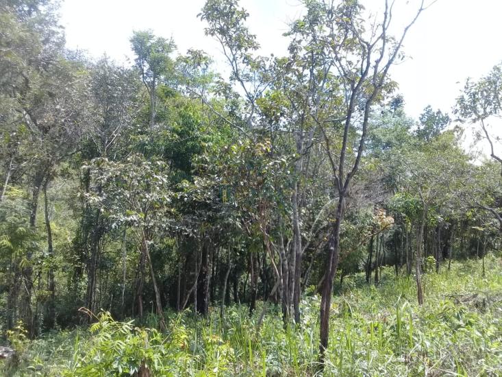 terreno-venda-serra-negra-betim-1030217