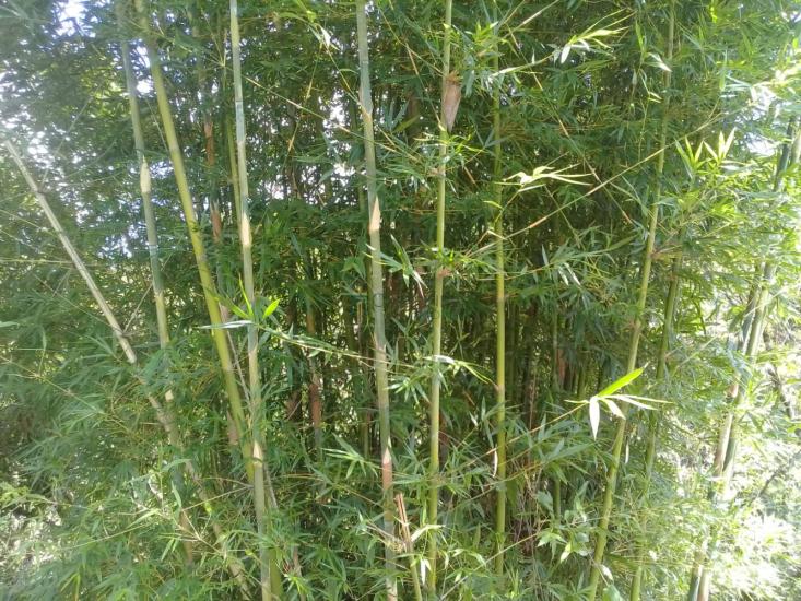 terreno-venda-serra-negra-betim-1030219