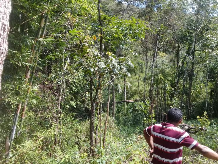 terreno-venda-serra-negra-betim-1030220