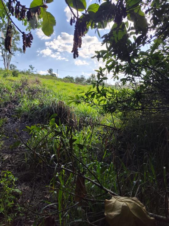 terreno-venda-medeiros-x-itatiaiucu-1118515