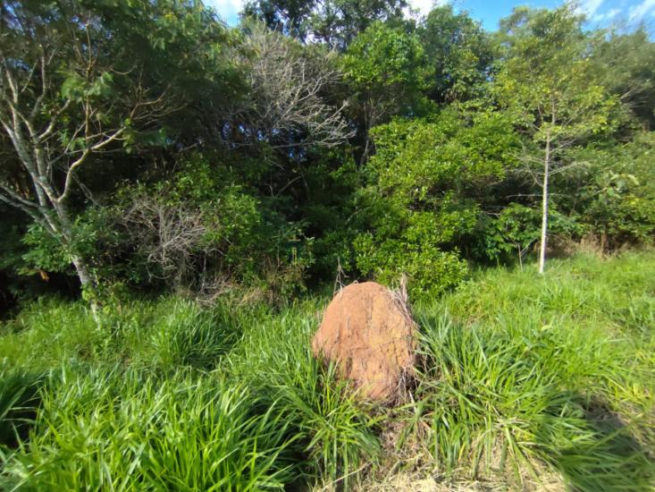 terreno-venda-medeiros-x-itatiaiucu-1118516