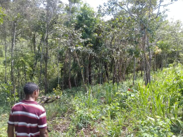 terreno-venda-serra-negra-betim-1118524