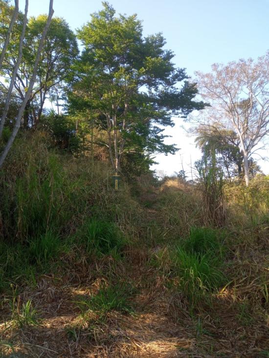 sitio-venda-marimba-betim-1056335