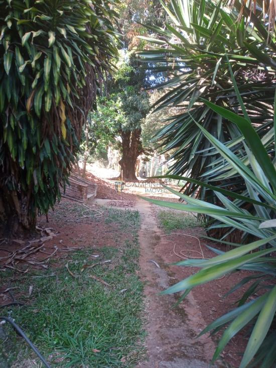 sitio-venda-marimba-betim-1056339