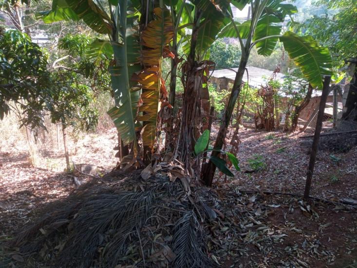 sitio-venda-marimba-betim-1056343