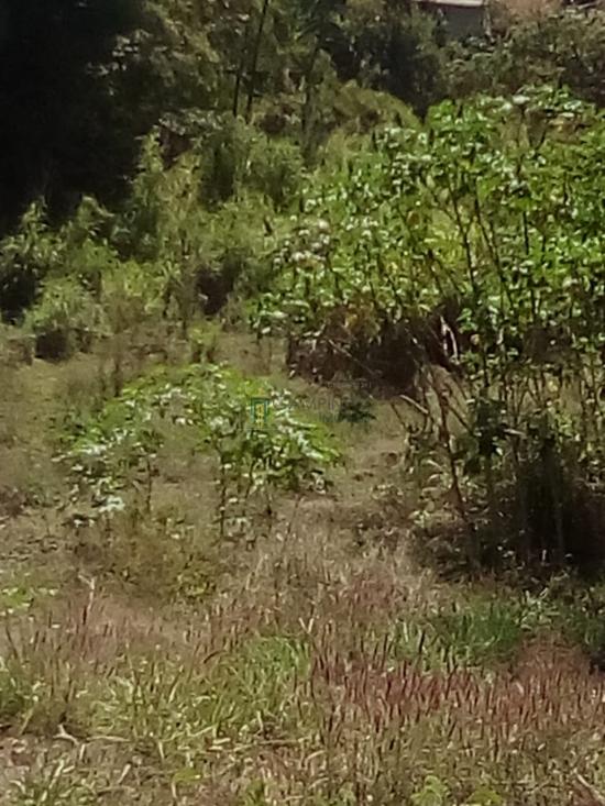 sitio-venda-marimba-betim-1056347