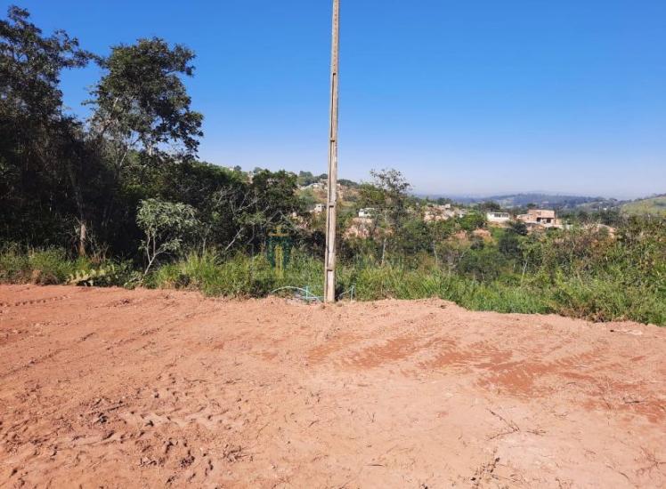 lote-venda-pimentas-1015814