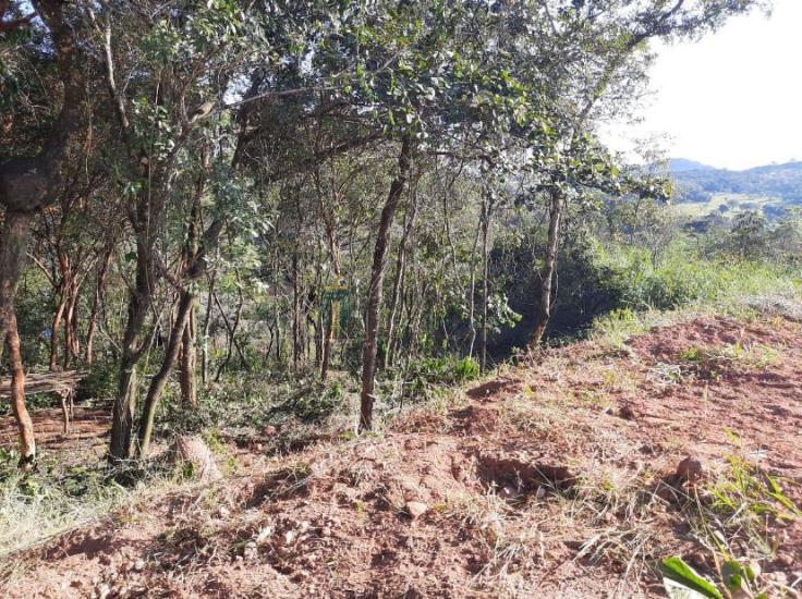 lote-venda-pimentas-1015816