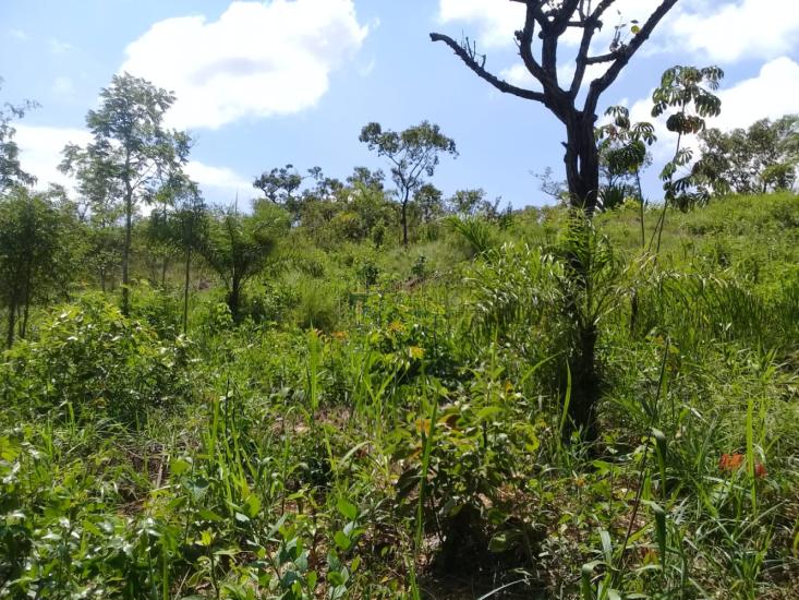 terreno-venda-serra-negra-betim-964880