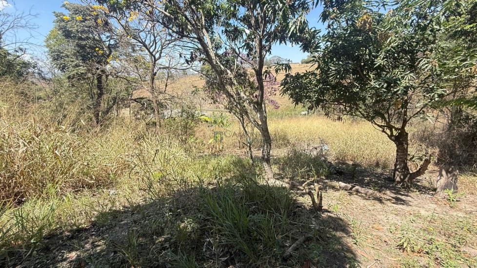 sitio-venda-bandeirinhas-betim-1052465