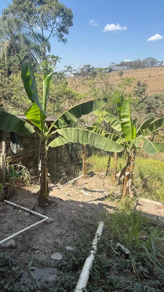 sitio-venda-bandeirinhas-betim-1052467