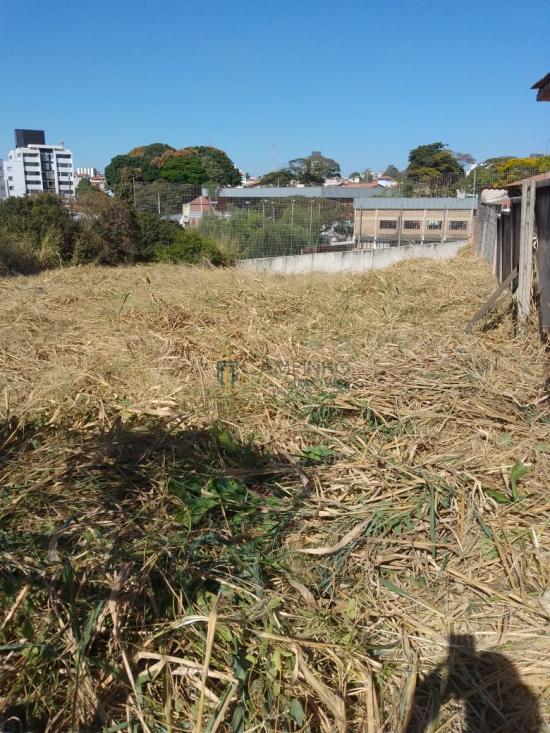 lote-venda-centro-betim--1053116